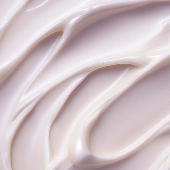 Wellness Series at Skin Therapy Massage in Elmhurst, IL