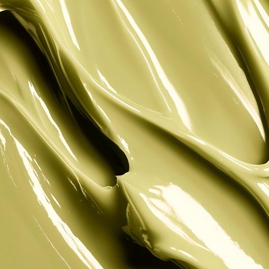 Evolve & Elevate Package 